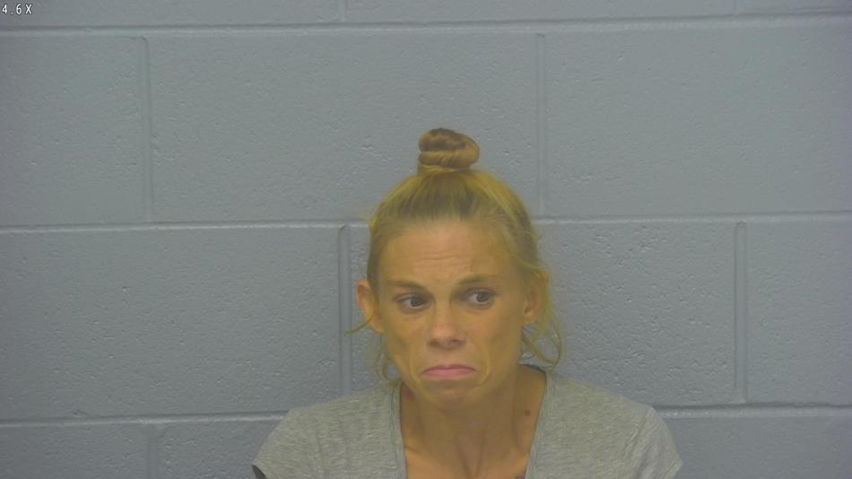 Arrest photo of BECKY HEWES