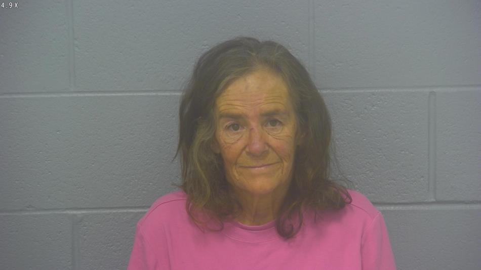 Arrest Photo of BECKY HUDDLESTON, arrested on 6/6/2024