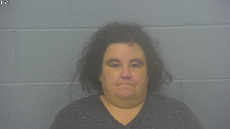 Arrest photo of BECKY ROBB
