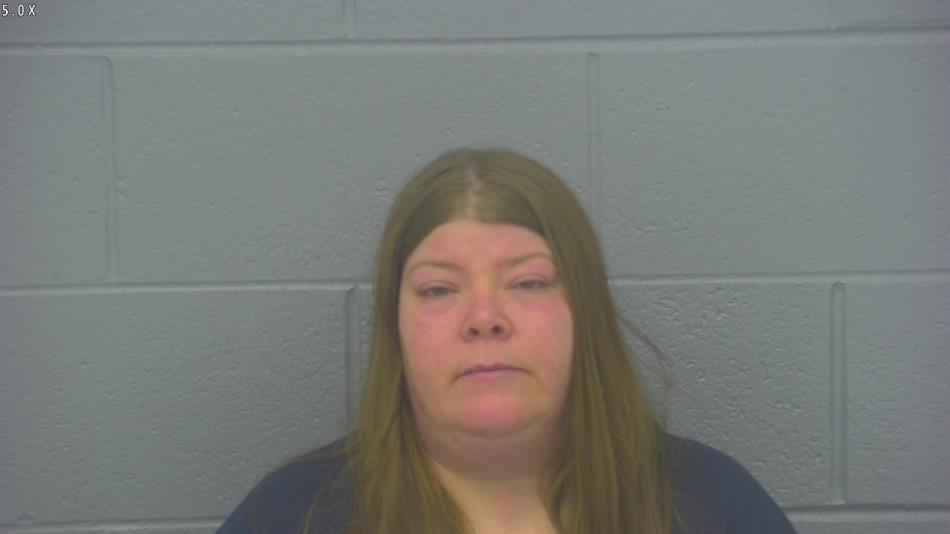 Arrest photo of BECKY EMERICK