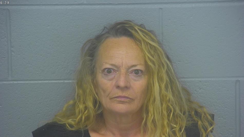 Arrest photo of BETH HIMMELBERG