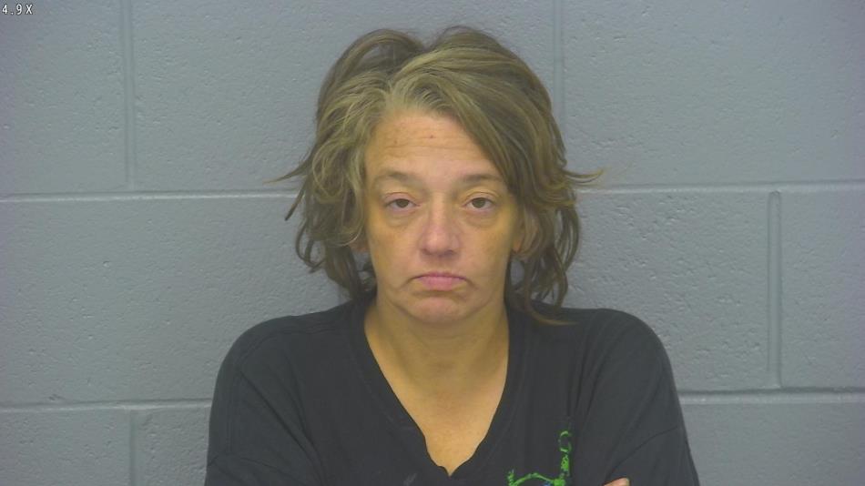 Arrest photo of BETHANY BAKER