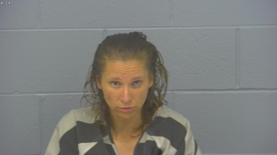 Arrest photo of BETHANY WILSON