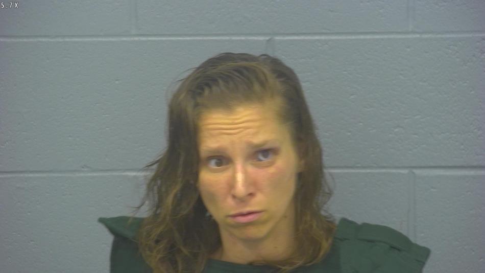 Arrest photo of BETHANY WILSON