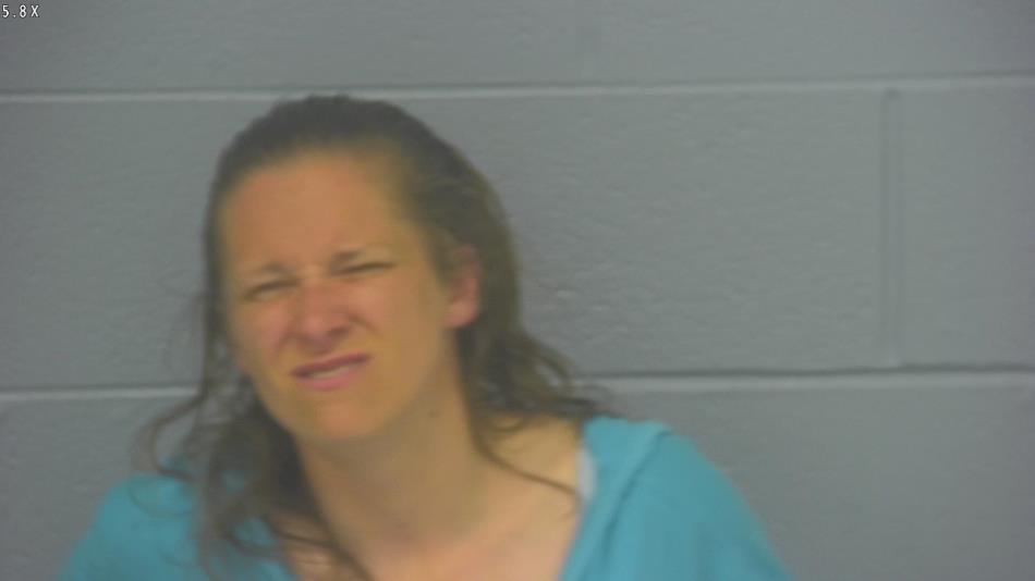 Arrest photo of BETHANY WILSON