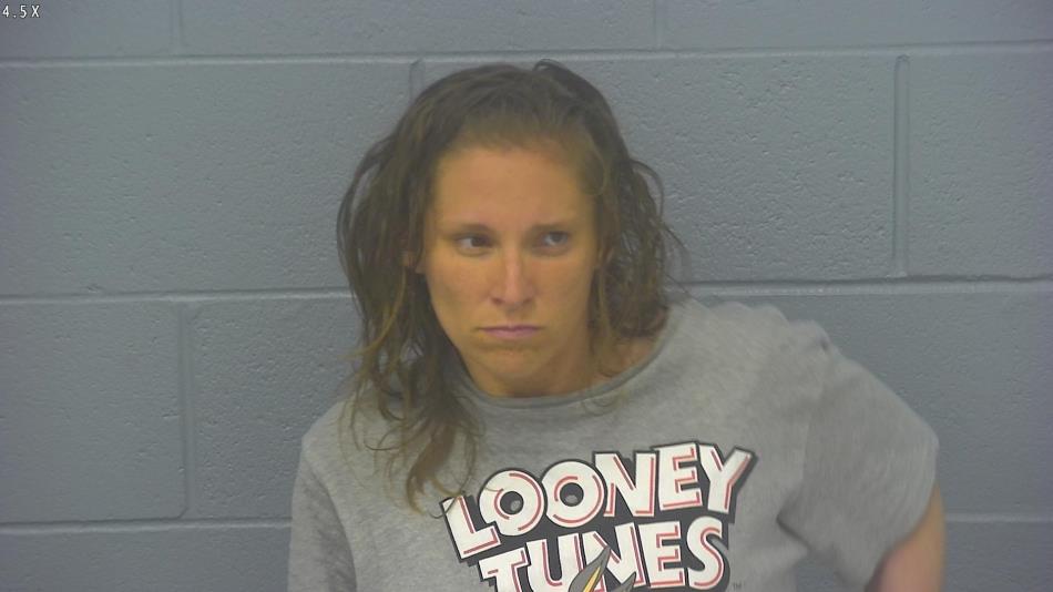 Arrest photo of BETHANY WILSON