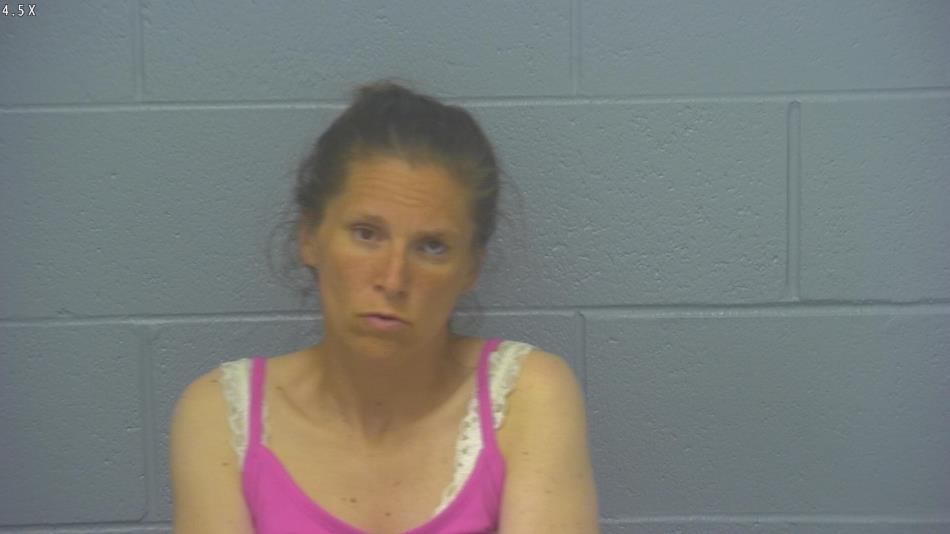 Arrest photo of BETHANY WILSON