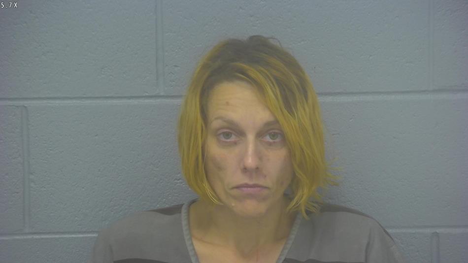 Arrest Photo of BETHANY CHANEY, arrested on 6/4/2024