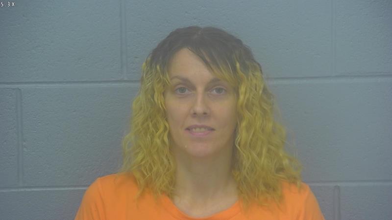 Arrest Photo of BETHANY CHANEY, arrested on 7/7/2025