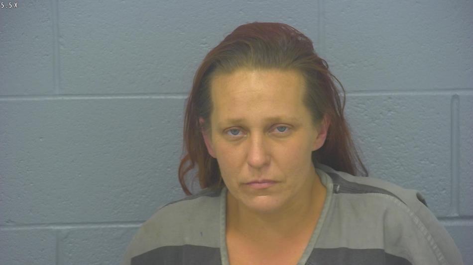 Arrest photo of BETHANY SCHAAF