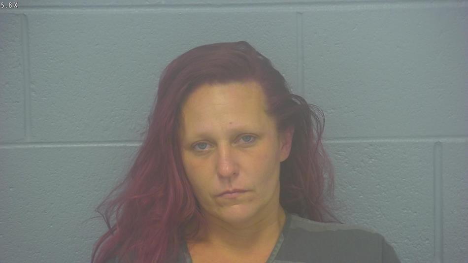 Arrest photo of BETHANY SCHAAF