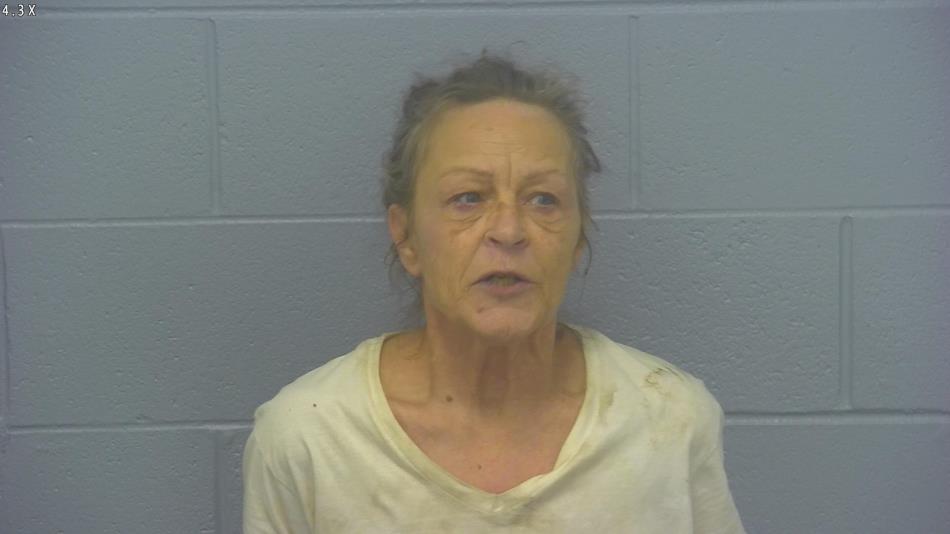 Arrest photo of BETTY KRAUS