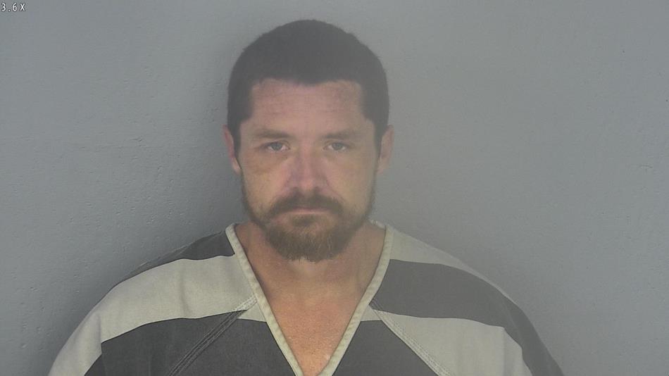 Arrest photo of BILLY HANKINS