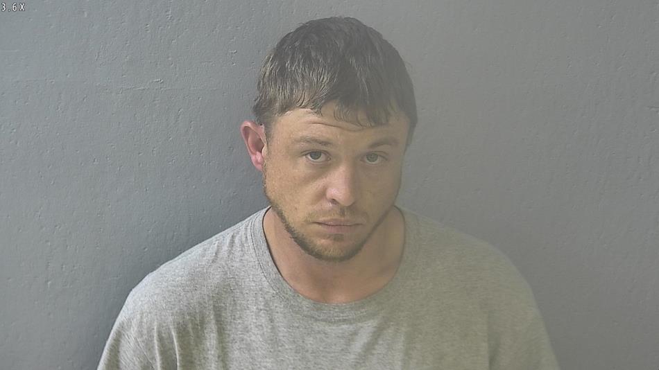 Arrest photo of BILLY NICHOLSON