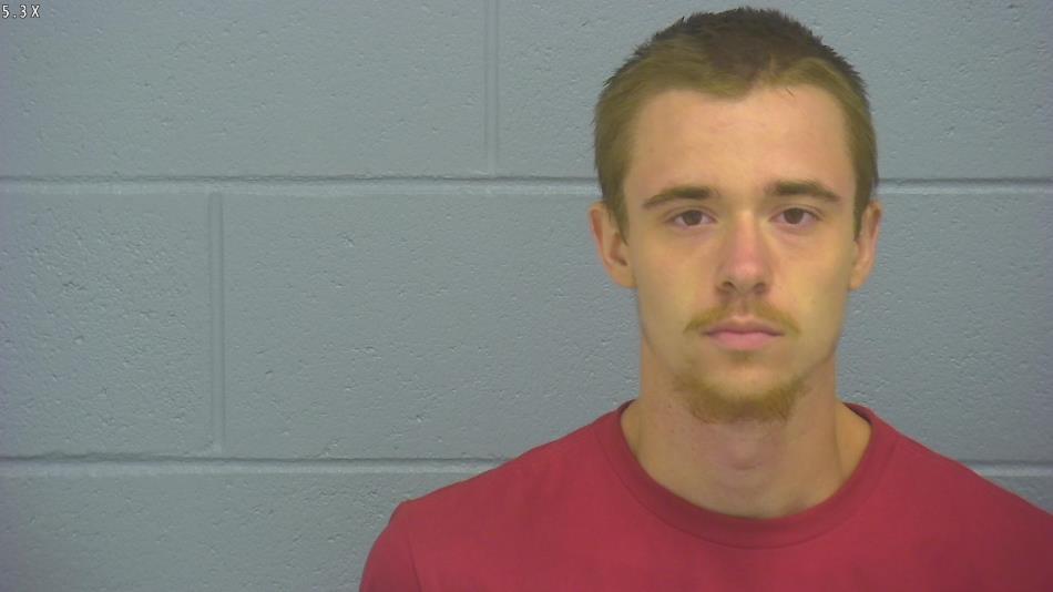 Arrest photo of BILLY ERWIN