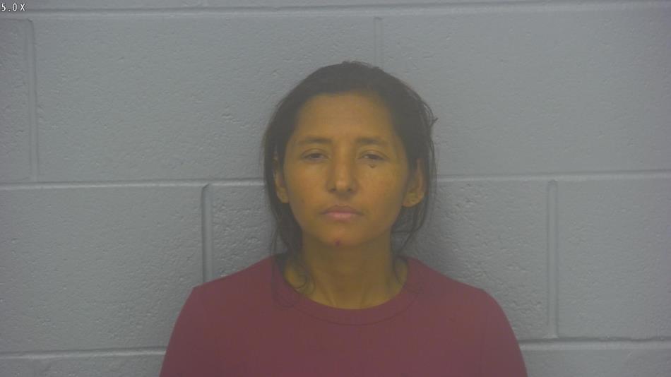 Arrest photo of BIURKA GUTIERREZ