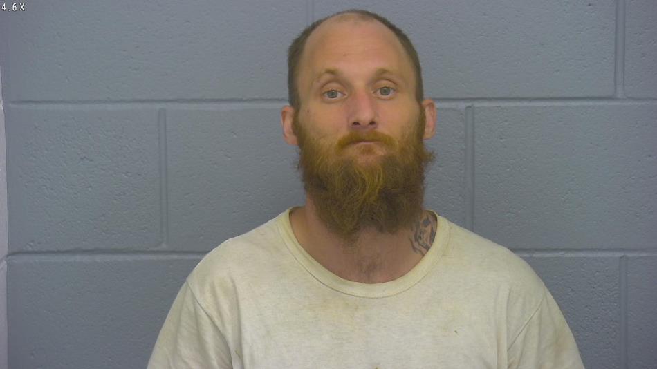 Arrest photo of BLAKE JOHNSON