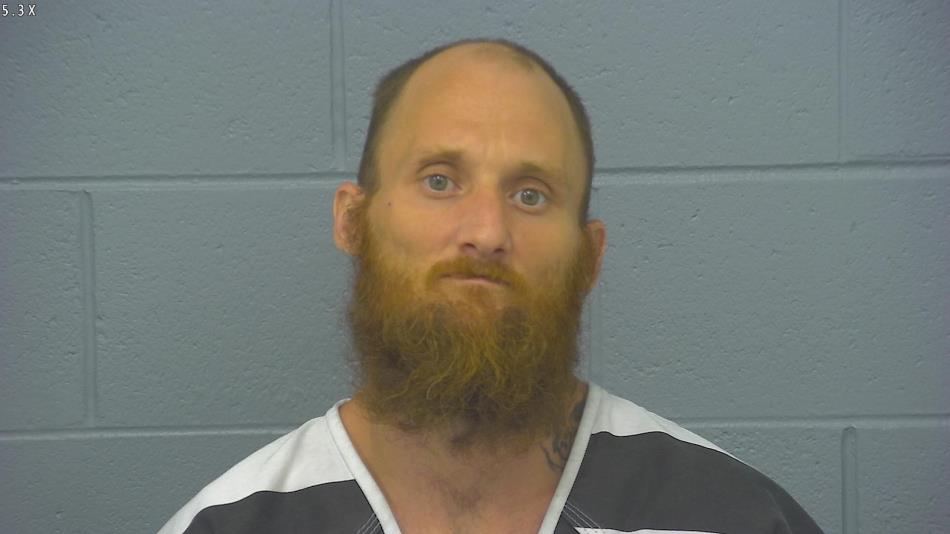 Arrest photo of BLAKE JOHNSON