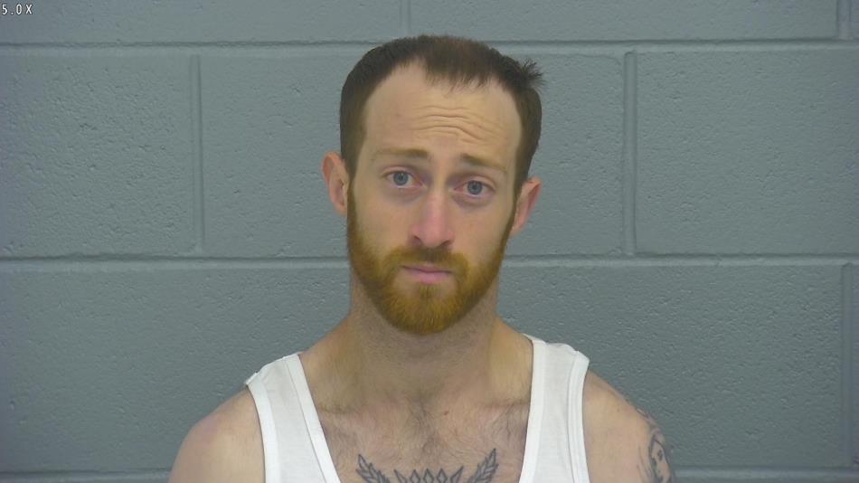 Arrest photo of BLAKE LINDSEY