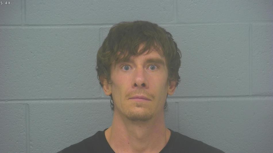 Arrest photo of BLAKE WILLIAMS