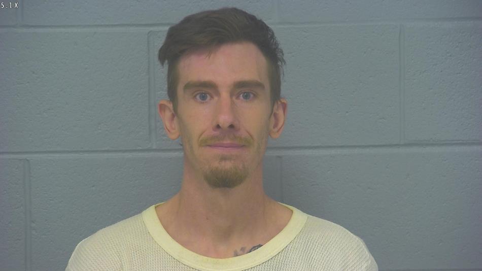 Arrest photo of BLAKE WILLIAMS