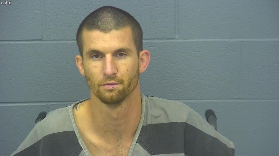 Arrest photo of BLAKE BASTEN