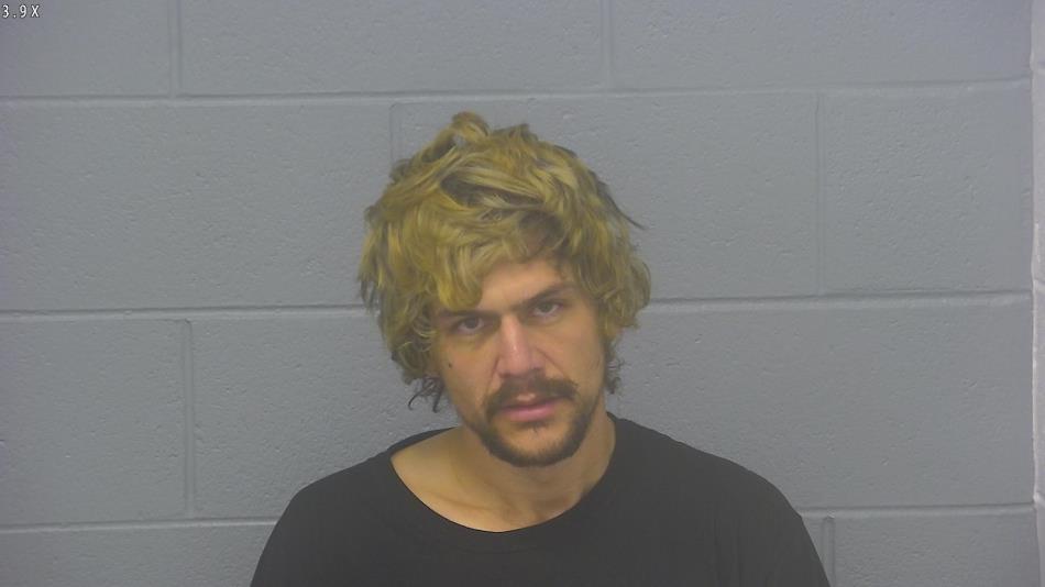 Arrest photo of BLAKE LINEBARGER