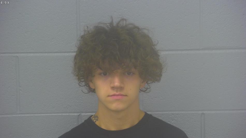 Arrest Photo of BLAKE ROBERTSON, arrested on 9/7/2024