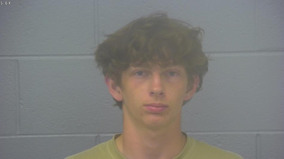 Arrest photo of BLAYDEN WHITE