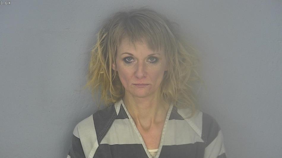 Arrest photo of BOBBI HARRIS