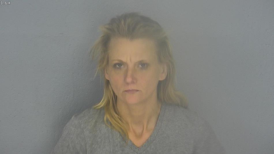 Arrest photo of BOBBI HARRIS