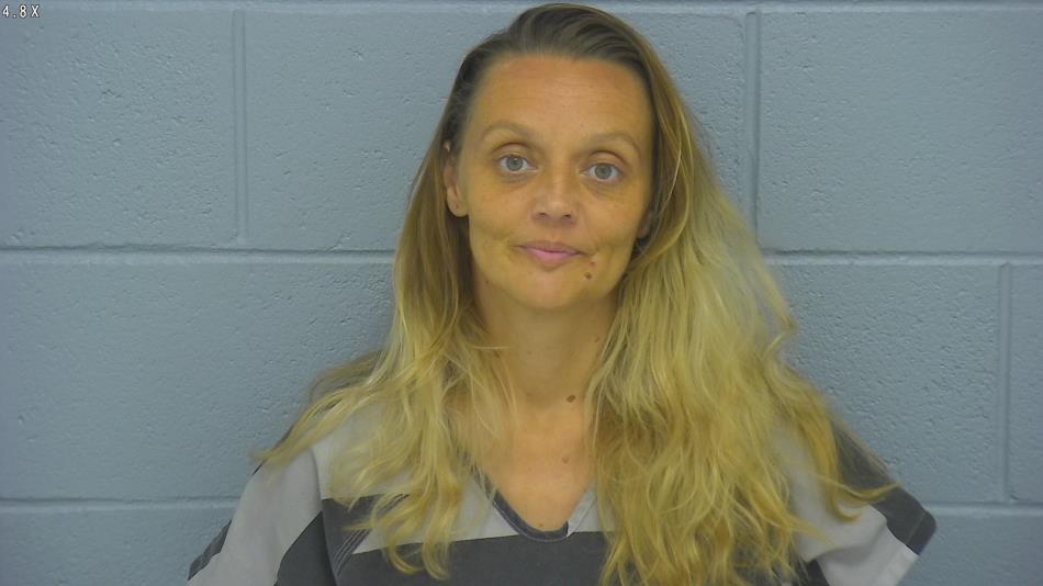 Arrest photo of BOBBI WITT