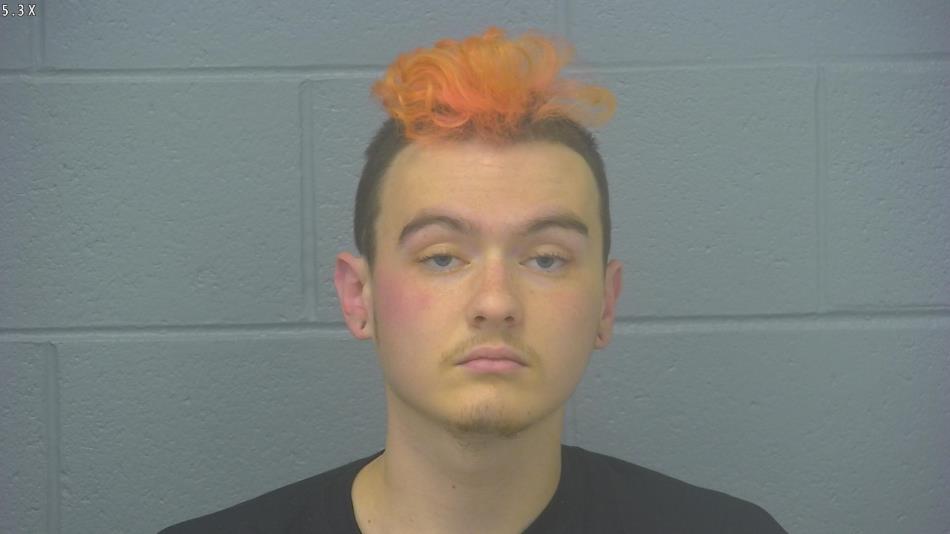 Arrest photo of BOBBY CARLILE