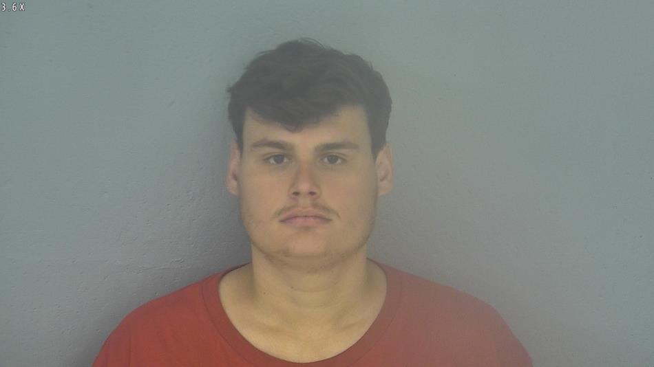 Arrest photo of BOBBY BRANDT