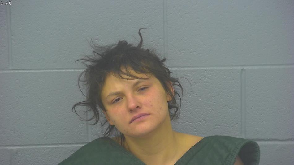 Arrest photo of BONNIE CAREY