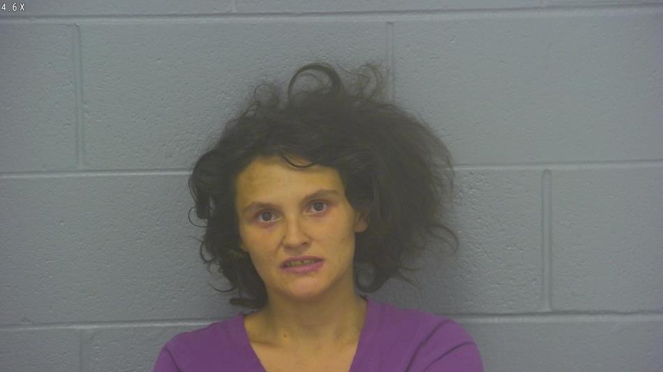 Arrest photo of BONNIE CAREY