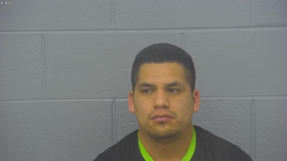 Arrest photo of BOTELLO YANEZ