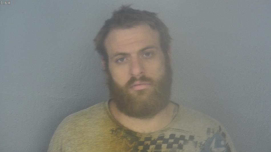 Arrest photo of BRADLEY WILSON