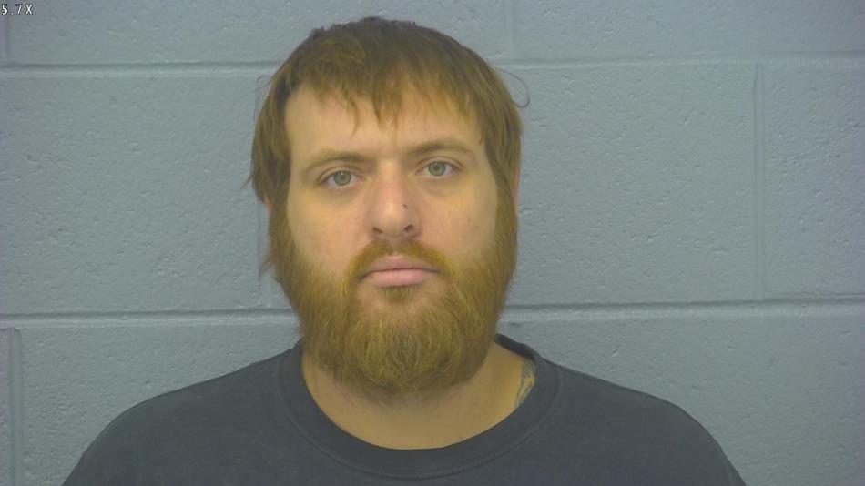 Arrest photo of BRADLEY WILSON