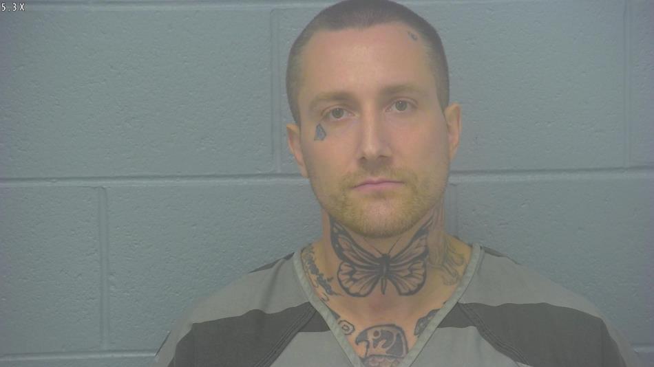 Arrest photo of BRADLEY BETHEL