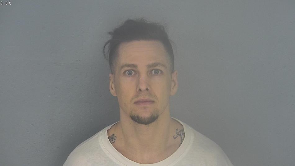 Arrest photo of BRADLEY WHITE