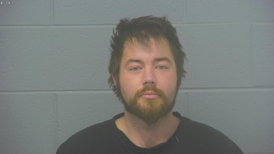 Arrest photo of BRADLEY HAMILTON