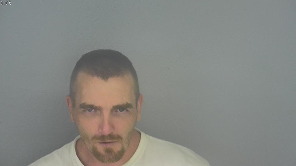 Arrest photo of BRADLEY LEE