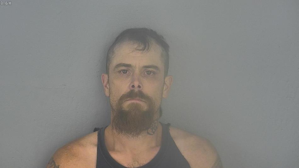 Arrest photo of BRADY WORKMAN