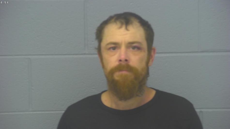 Arrest photo of BRADY WORKMAN