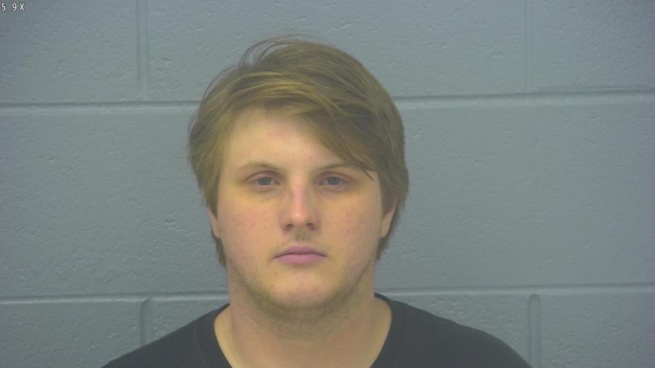 Arrest photo of BRADY WOLF