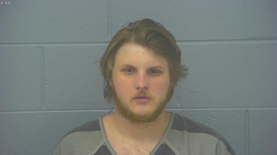 Arrest photo of BRADY WOLF