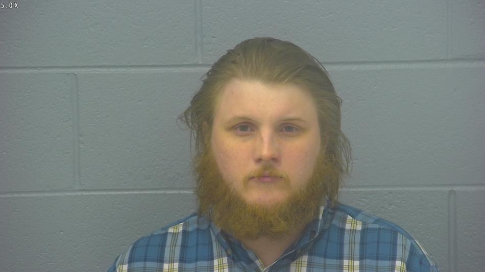 Arrest photo of BRADY WOLF