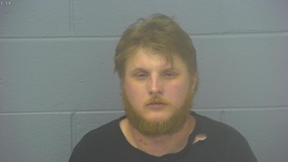 Arrest photo of BRADY WOLF