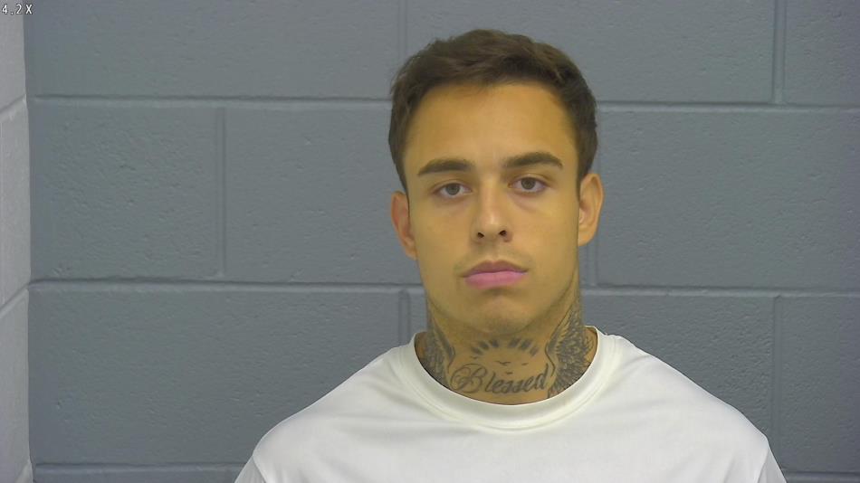 Arrest photo of BRANDAN REMY